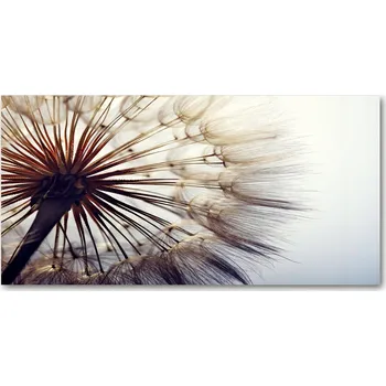 Obraz Ochranný panel Pampeliška 120x60 cm + LEPIDLO