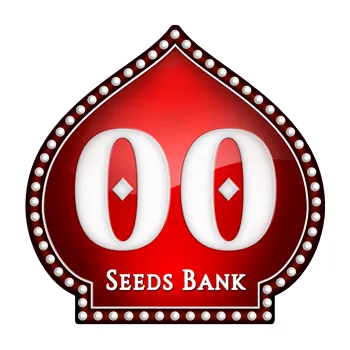 Semeno 00 Seeds Grand Daddy Purple Počet ks Feminizované: 3