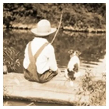 The Adventures of Huckleberry Finn - Mark Twain [EN] (2017, Vázaná, Pan Macmillan)