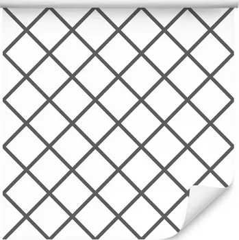 Tapeta 10m OPTICKÁ TAPETA moderní MŘÍŽKA do ložnice