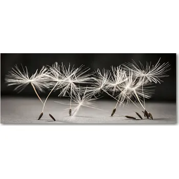 Obraz Lacobel pod skříňky do kuchyně Semena pampelišky XXL