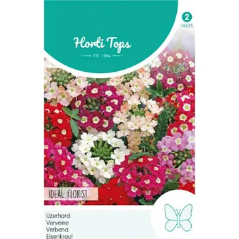 Semeno SEMENA - VERBENA ´IDEAL FLORIST´ mix