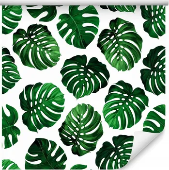 Fototapeta Tapeta do ložnice EXOTICKÉ listy monstery pozadí