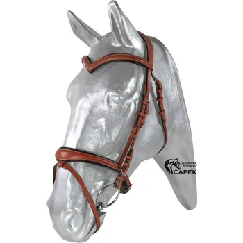 Uzdečka Kentaur -ANATOMIC: ŠIPKA- - Černá - Cob