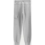 Coccodrillo Teplákové kalhoty WC5120102VBA Šedá Regular Fit 92