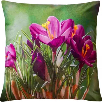 Polštář Dekorační polštář CROCUS III. 40x40 cm Mybesthome Varianta: Povlak na polštář, 40x40 cm