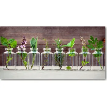 Obraz Panel do kuchyně Rostliny ve sklenicích 100x50 + LEPIDLO
