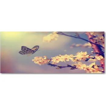 Obraz Panel z tvrzeného skla Višňový květ a motýl XXL