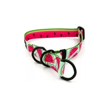 Obojek pro psa Polostahovací obojek Melouny M/L