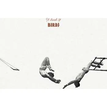 Zahraniční hudba LP A Bunch Of Birds: A Bunch Of Birds