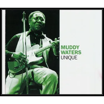 Zahraniční hudba Unique CD Muddy Waters