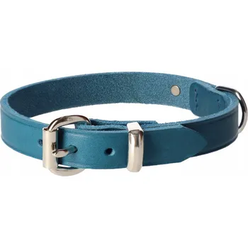 Obojek pro psa Kožený obojek pro psa Dingo vel. S