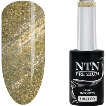 Lak na nehty Hybridní lak NTN Premium 170 na nehty 5g