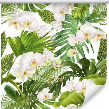 Tapeta Tapeta květiny orchideje příroda zeleň do obýváku