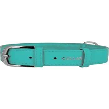 Obojek pro psa Kožený obojek pro psa WAUDOG COLLAR vel. XS