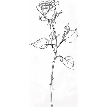 Plakát Plakát Obrys Růže bez rámu 61 x 91,5 cm