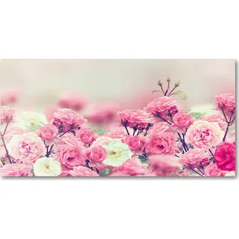 Obraz Panel lacobel Květiny divoké růže 100x50 cm + LEPIDLO