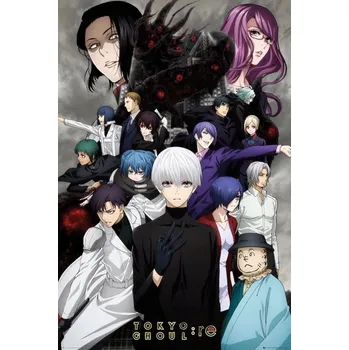 Plakát Plakát Fotbalový Ráj Plakát Tokyo Ghoul:RE 292 bez rámu 61 x 91 cm