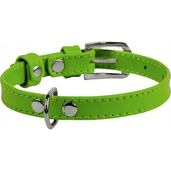 Obojek pro psa Kožený obojek pro psa WAUDOG COLLAR vel. XS