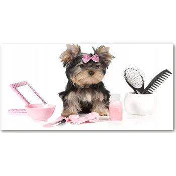 Obraz Panel lacobel Yorkshire pro kosmetiku 140x70 cm + LEPIDLO