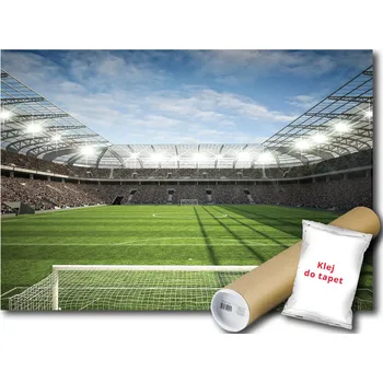 Fototapeta FOTOTAPETA STADION HŘIŠTĚ 13A FXL 208x146 F11798