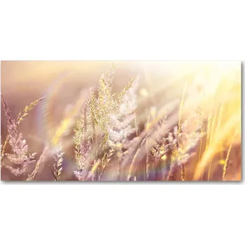 Obraz Ochranný panel Vysoká tráva 100x50 cm + LEPIDLO