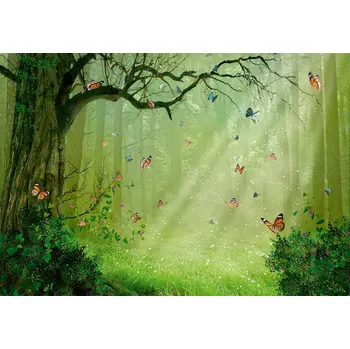 Fototapeta Fototapeta PRO DĚTI Kouzelný Les Motýli 208x146