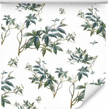 Fototapeta Tapeta do obýváku listy VĚTVIČKY břečťan akvarel