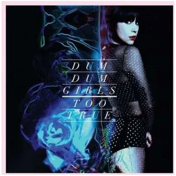 Zahraniční hudba LP Dum Dum Girls: Too True 2026