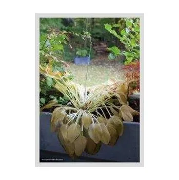 Zahraniční hudba CD Hyukoh: Through Love 2020 Deluxe Edition