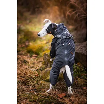 Obleček pro psa Vsepropejska Nelly pláštěnka do deště - nepromokavá kombinéza Barva: Šedá, Délka zad (cm): 25, Obvod hrudníku: 25 - 39 cm