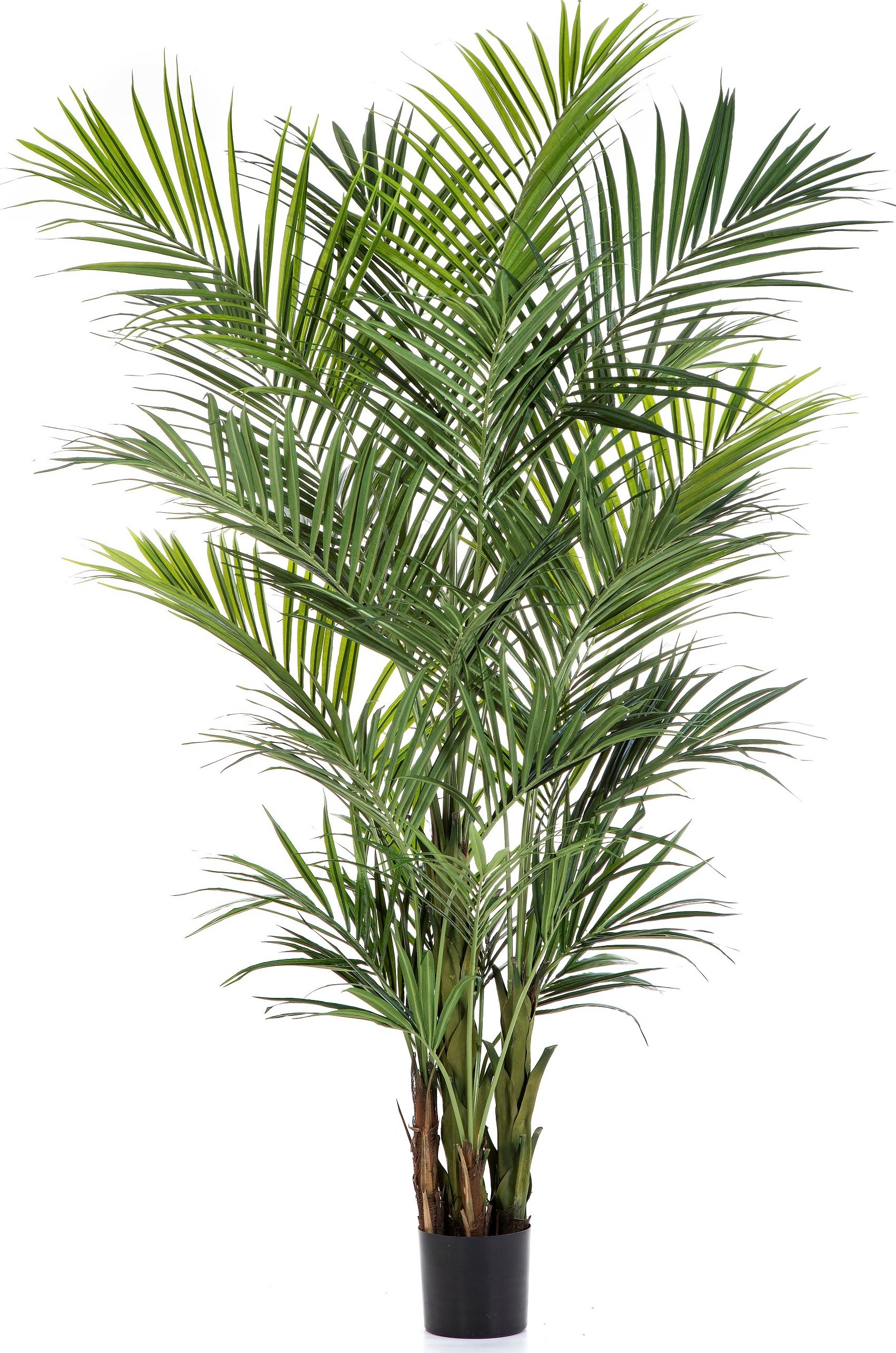 Luxusní umělá palma NATURAL KENTIA PALMA luxe, 260 cm