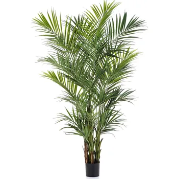 umělá květina Luxusní umělá palma NATURAL KENTIA PALMA luxe, 260 cm