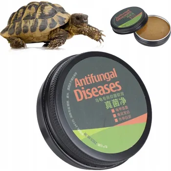 Obraz Krém z želví skořápky 6 cm * 3 cm