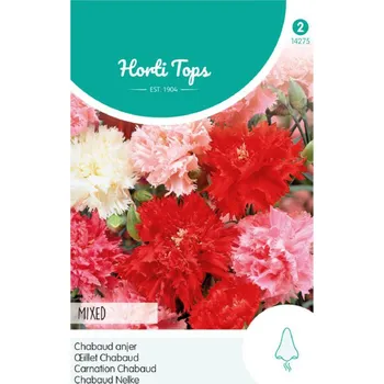 Semeno Semena - HVOZDÍK ZAHRADNÍ ´CHABAUD´