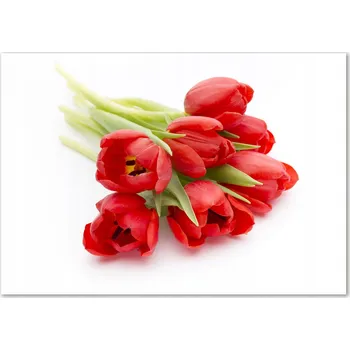 Obraz Skleněný panel 70 x 100 x 4 mm tvrzené sklo broušené červený