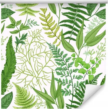 Fototapeta Tapeta do ložnice bylinky ROSTLINY listy příroda