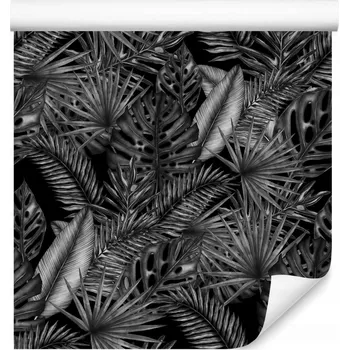 Fototapeta Tapeta v roli Černé LISTY Tropické Monstera Abstrakce Rostliny