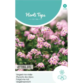 Semeno Semena - POMNĚNKA VYSOKOHORSKÁ ´VICTORIA ROSE´