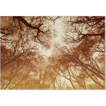 Obraz Skleněný panel Wallmuralia 70x100 cm tvrzené sklo hnědá béžová