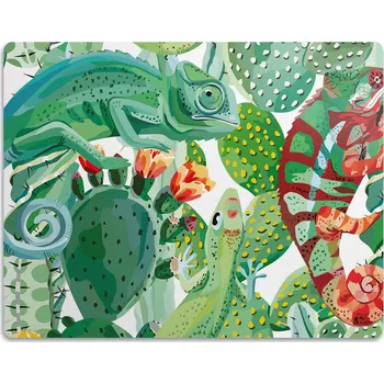 Miska pro psa Pro psa ochranná podložka pod misku Kameleon 45x35 cm