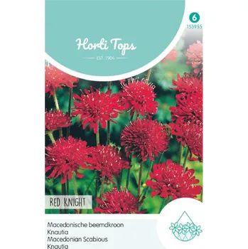 Semeno Semena - CHRASTAVEC ´RED KNIGHT´