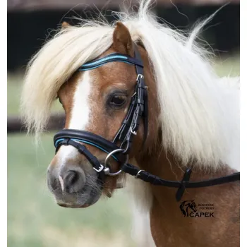 Uzdečka Busse -LITTLE- - Černá/Bílá - Shetty