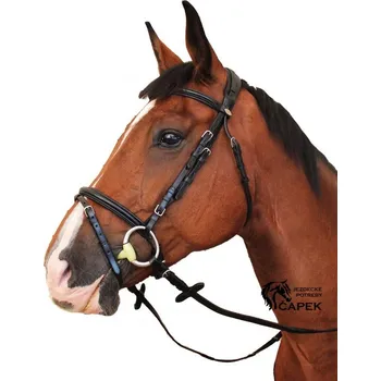 Uzdečka Kentaur -TRYON- - Tabák - Full