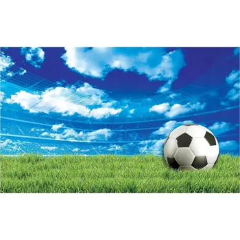 Fototapeta Fototapeta FOTBALOVÝ MÍČ SPORT DĚTSKÝ 3D 312x219