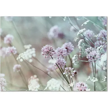 Obraz Skleněný panel 70 x 100 x 4 mm tvrzené sklo broušené bílý