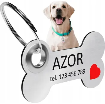 Obraz Adresářka kost Printima stříbrná