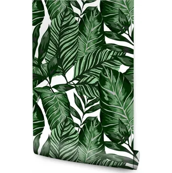 Fototapeta Tapeta Tropické Listy Akvarel /794898589