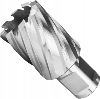 Vrták Korunkový vrták HSS melver FI 29 x 25 mm