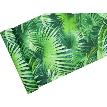 Tapeta Tapety s tropickými listy palmy – botanická tapeta